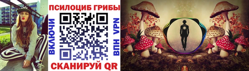 купить закладку  Альметьевск  Псилоцибиновые грибы GOLDEN TEACHER 